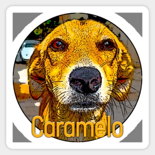 Caramel the famous dog of Brazil, victim of torture and death in a supermarket Sticker